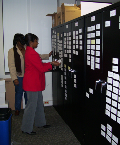 Picture of me leading an exercise to match electronic file types to department categories at a governmental agency. Photo courtesy Equilibria, Inc. Copyright 2008.